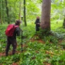 Sabrina Maurer und Linus Ender vom Amt für Wald und Wild überprüfen einen Stichprobenpunkt im Wald und erheben verschiedene Daten zum Baumbestand.